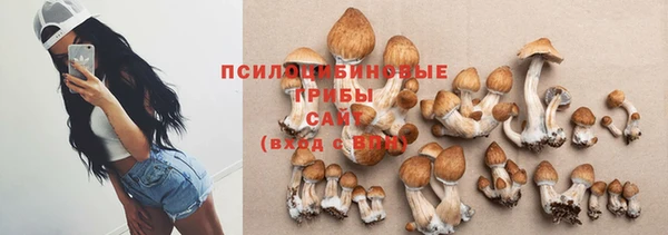 соль ск Балахна